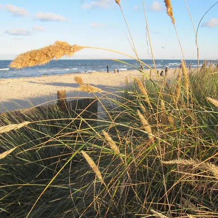 Appartement Granitz - 29 Goehren (Ruegen)